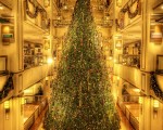 chirstmas tree chicago