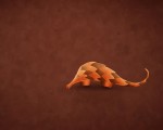 precise_pangolin-4000x2500