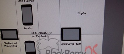 RIM-roadmap-2012-2013