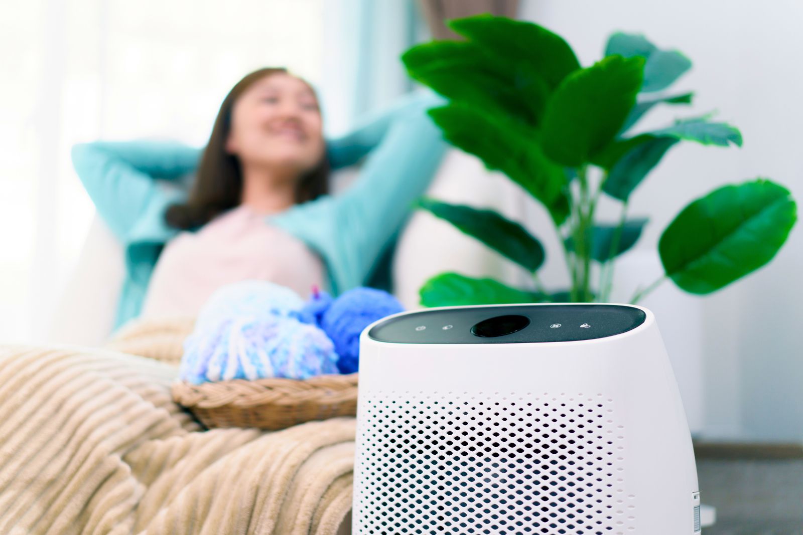 Ne cherchez plus : On a trouvé LE purificateur d'air pour votre intérieur ! LE purificateur d'air pour votre intérieur