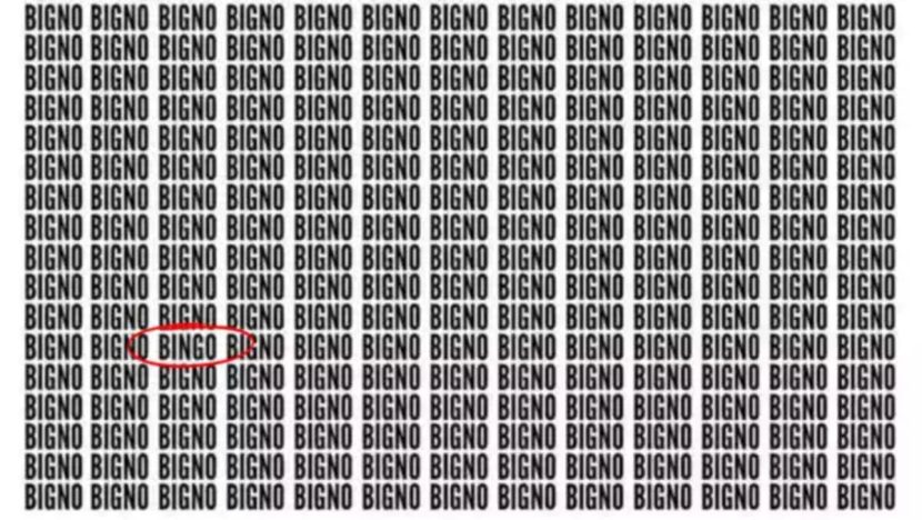 BINGO