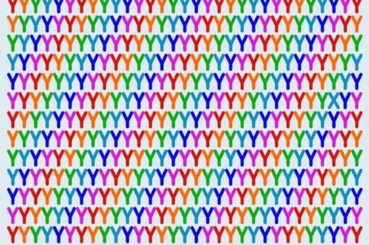 Illusion d’optique