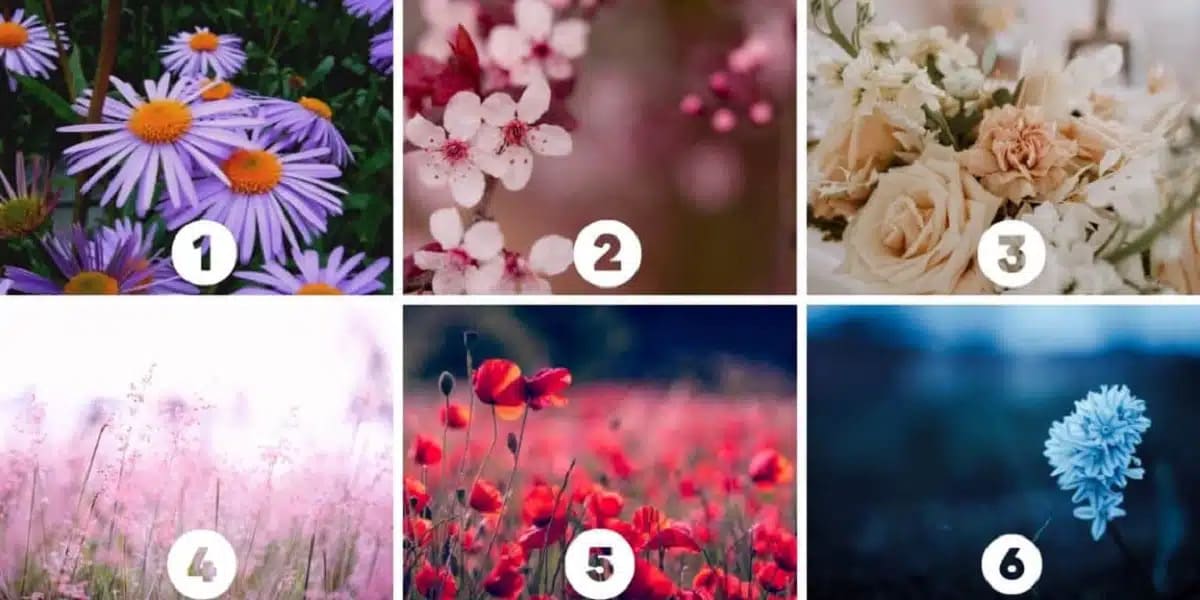 Quelle fleur vous attire le plus ?