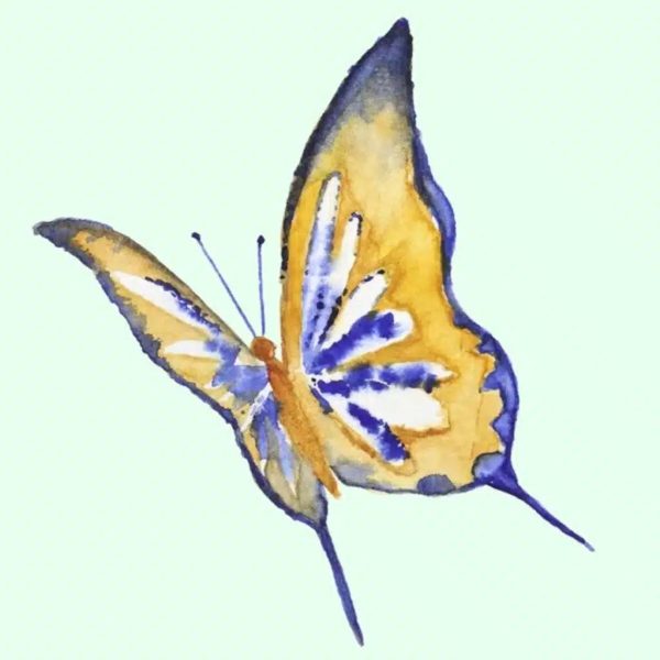 Papillon 1