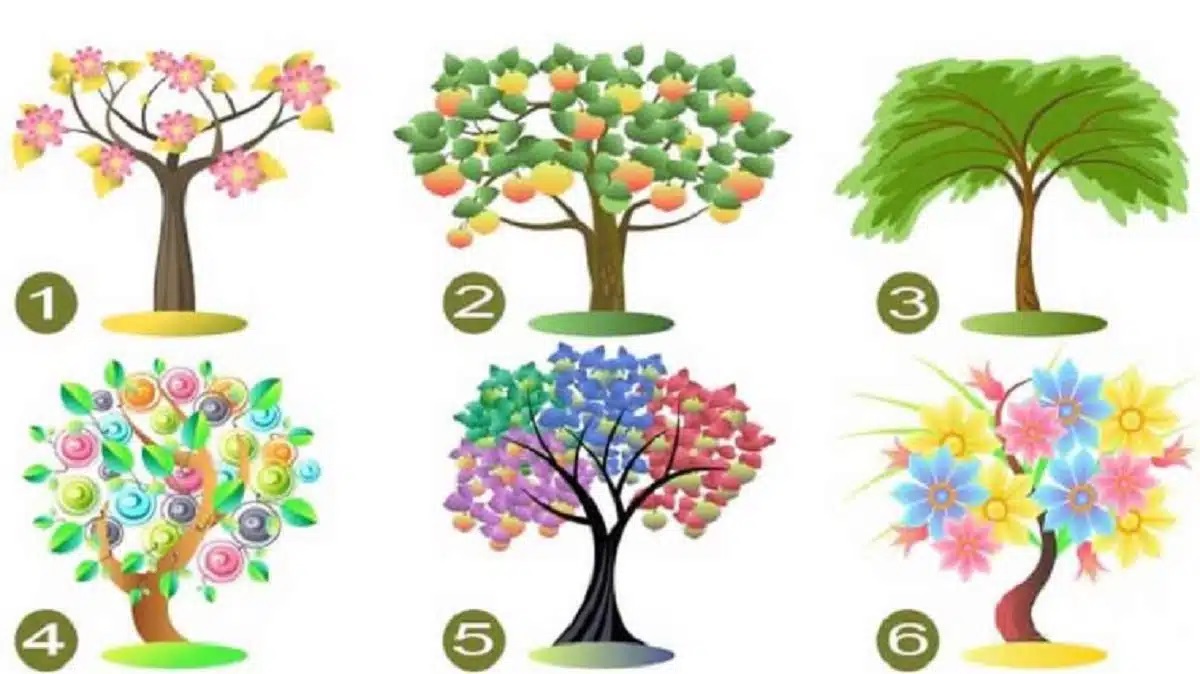 L’arbre qui vous attire révèle un trait fort de votre personnalité