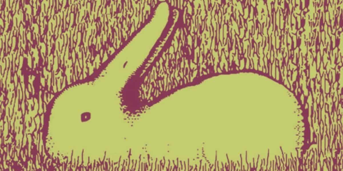 Première perception animale