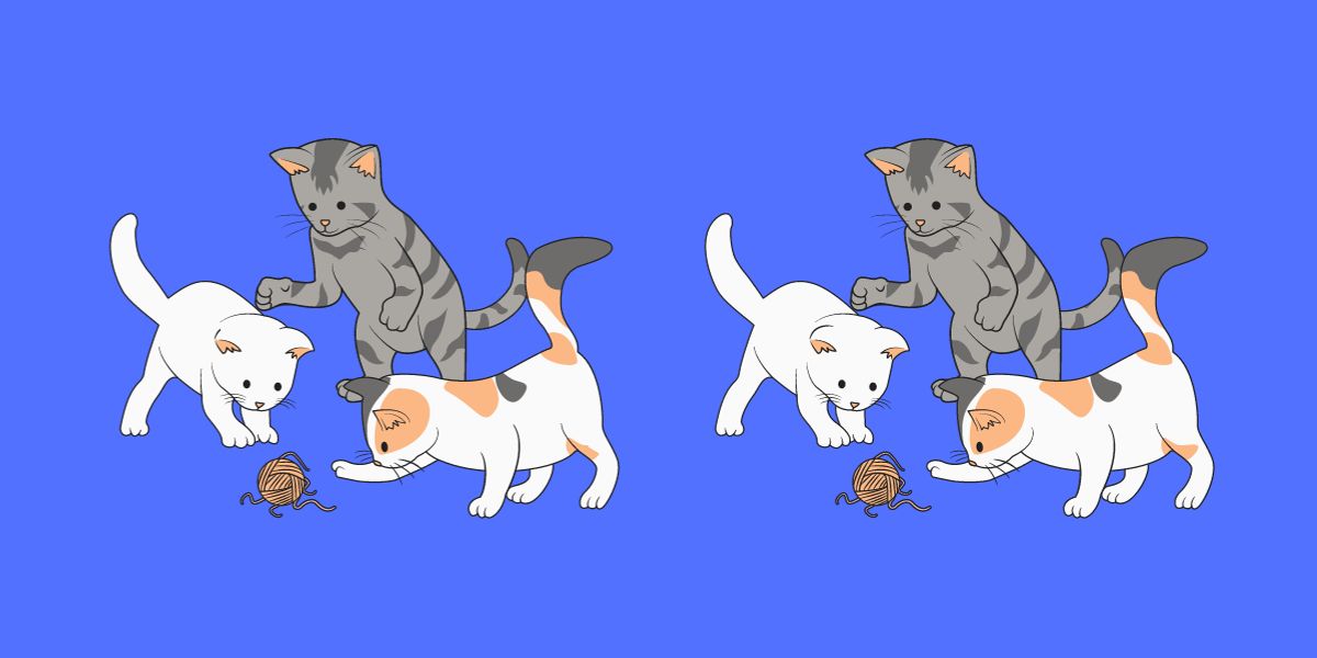 3 différences cachées entre ces chats