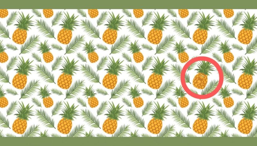 Emplacement du singe parmis les ananas
