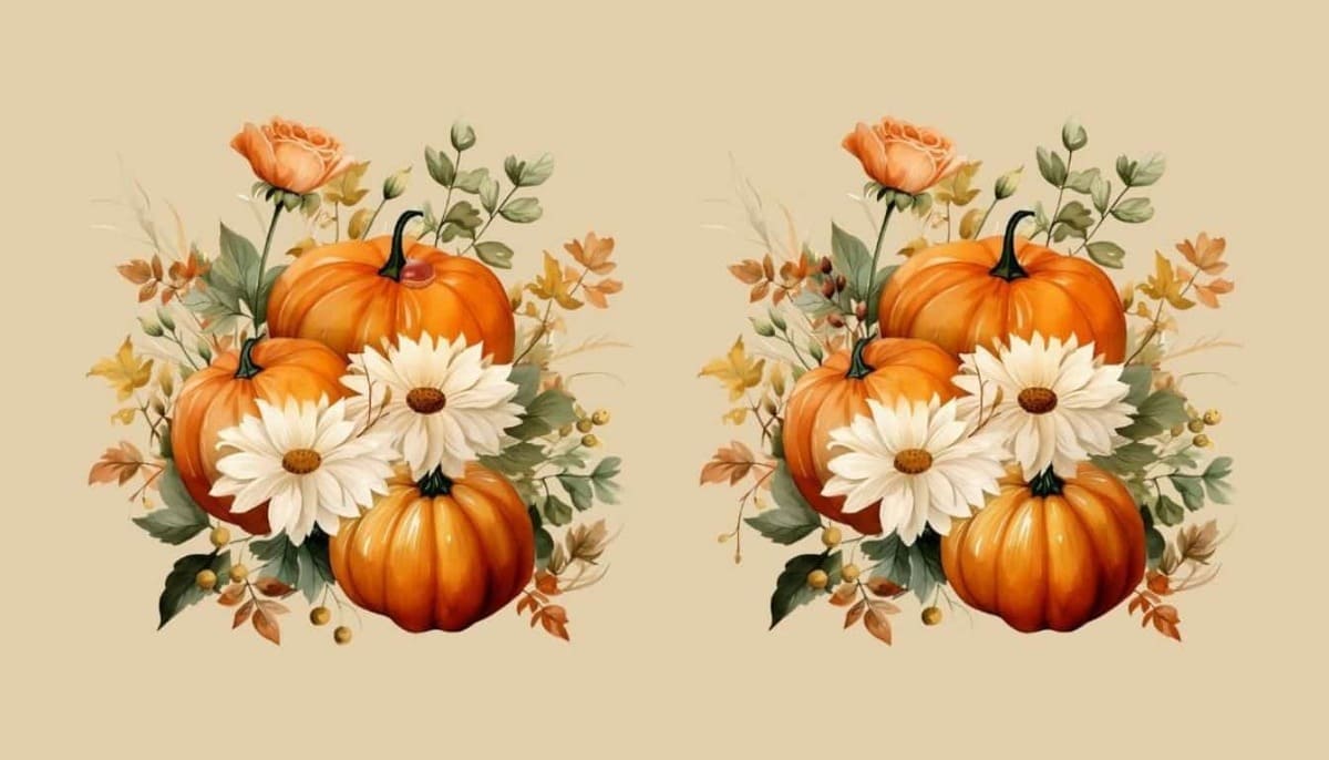 Trouvez les 4 différences en 15 secondes