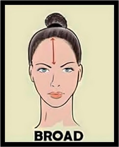 Front Large, L’intelligence et l’Organisation