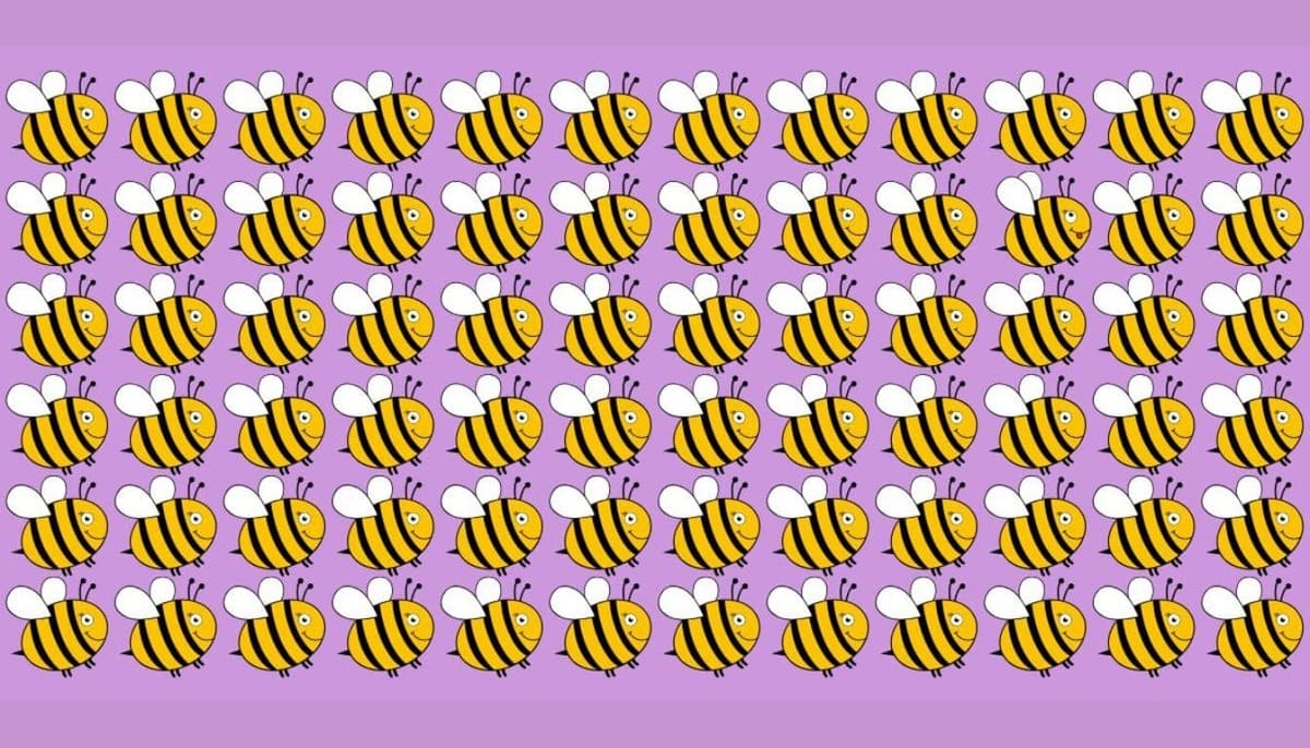 Repérez l’abeille différente en 15 secondes