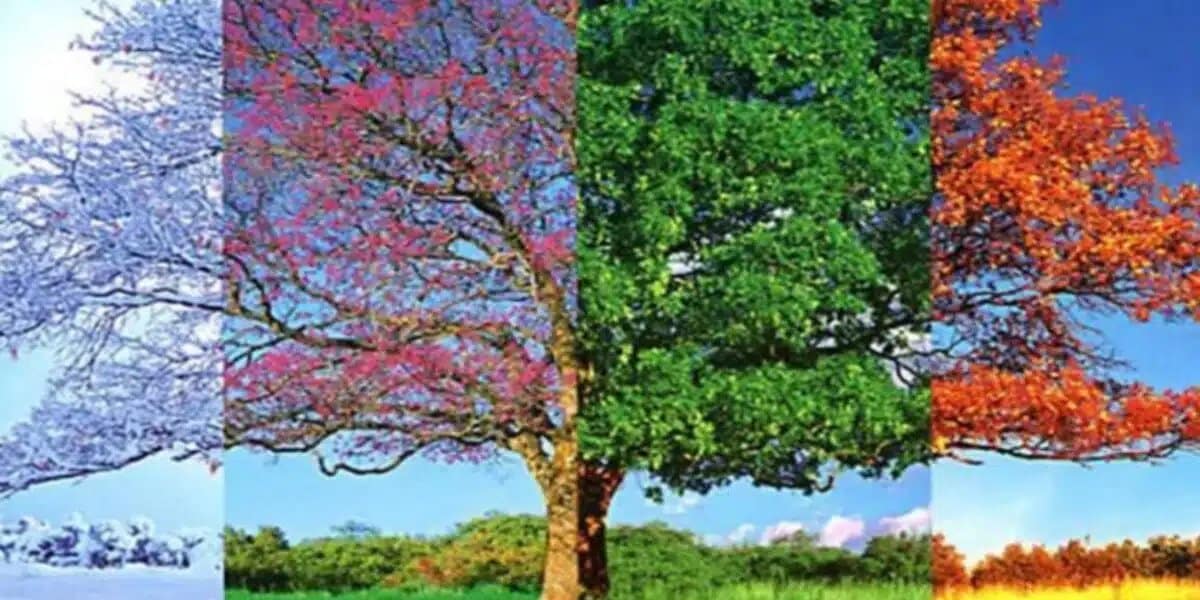 Votre saison préférée dévoile un trait caché que vous ignorez peut-être Quelle est votre saison préférée ?