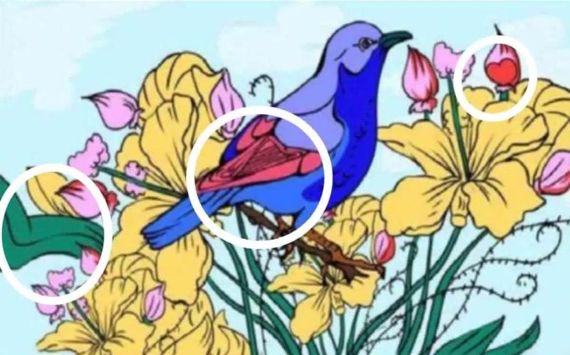 Solution au défi visuel 