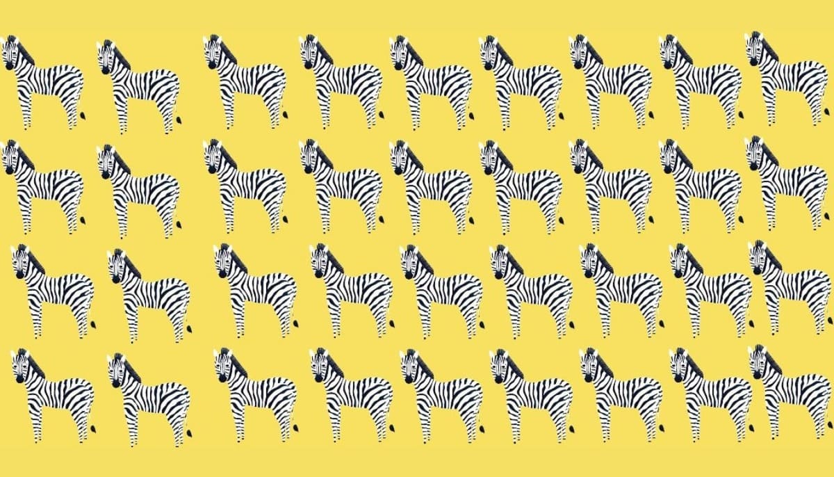 Trouvez l’intrus parmi les zèbres en moins de 25 secondes