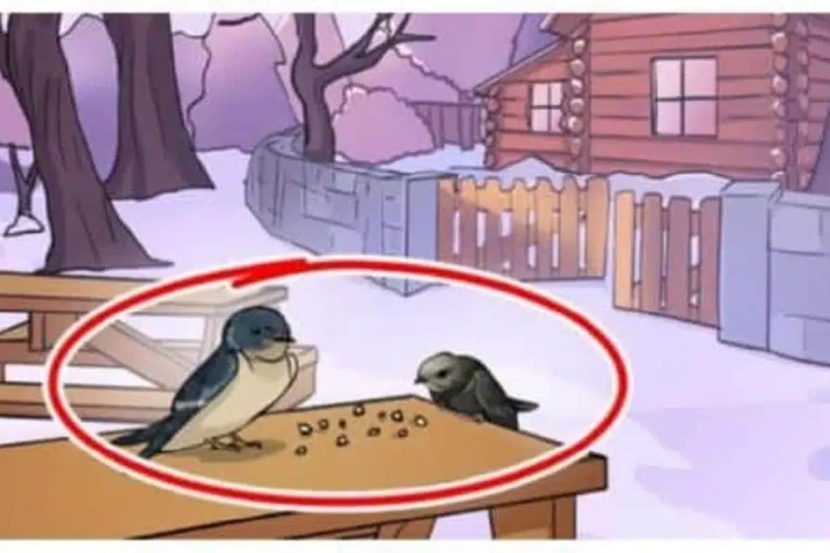 Solution à l'énigme