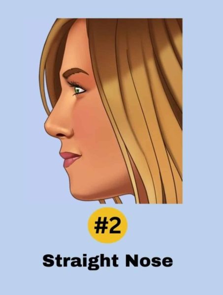 Le nez droit : élégance et fiabilité