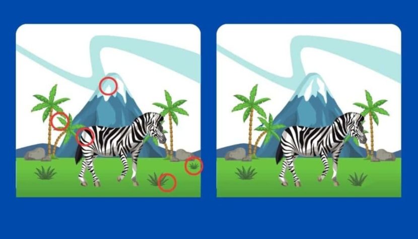 Les différences entre les deux zèbres dévoilées 
