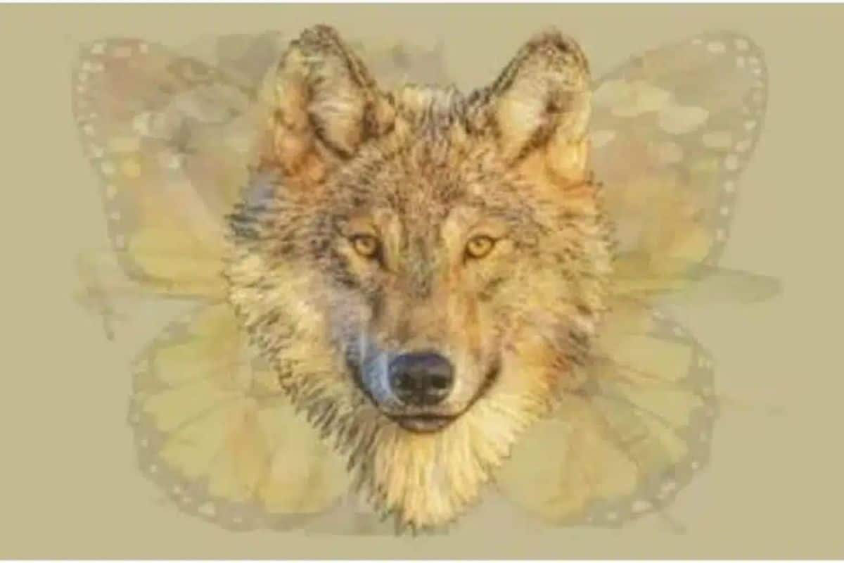 Première impression animale