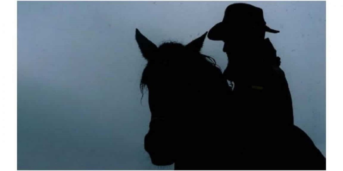 Cheval et cavalier : dans quelle direction regardent-ils ?