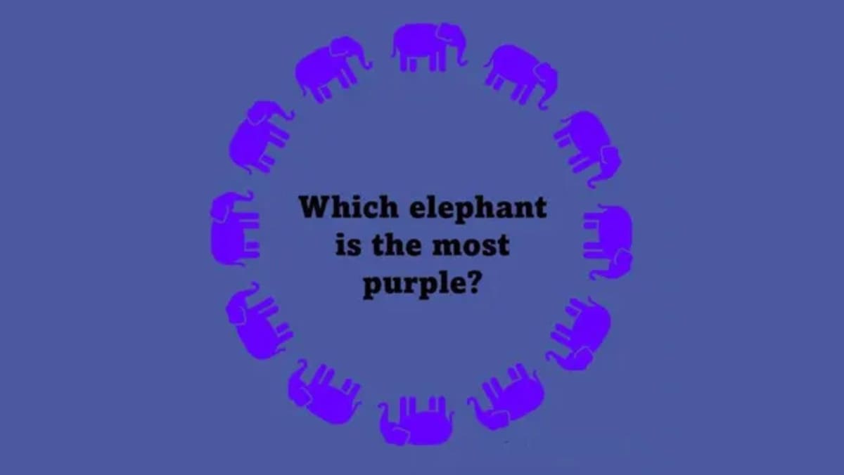 illusion d’optique