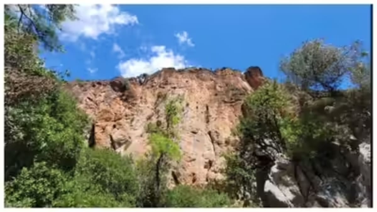 Seuls les yeux de lynx verront la chèvre