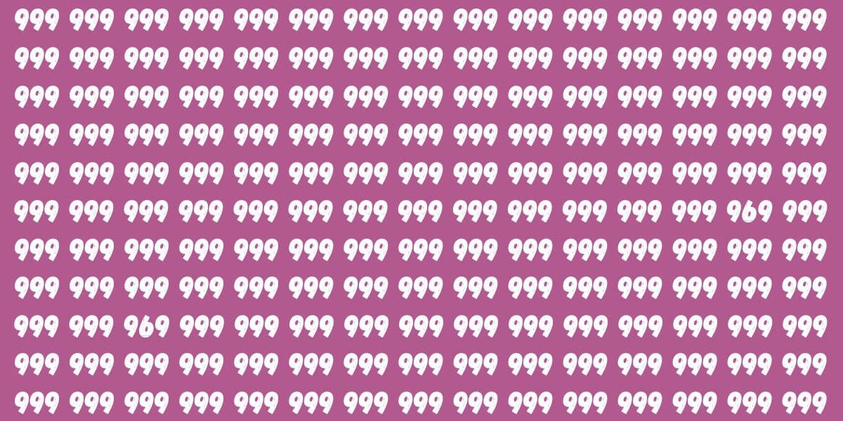 Repérez les deux 969 cachés en moins de 12 secondes : seul un regard d’aigle y parvient deux 969 cachés