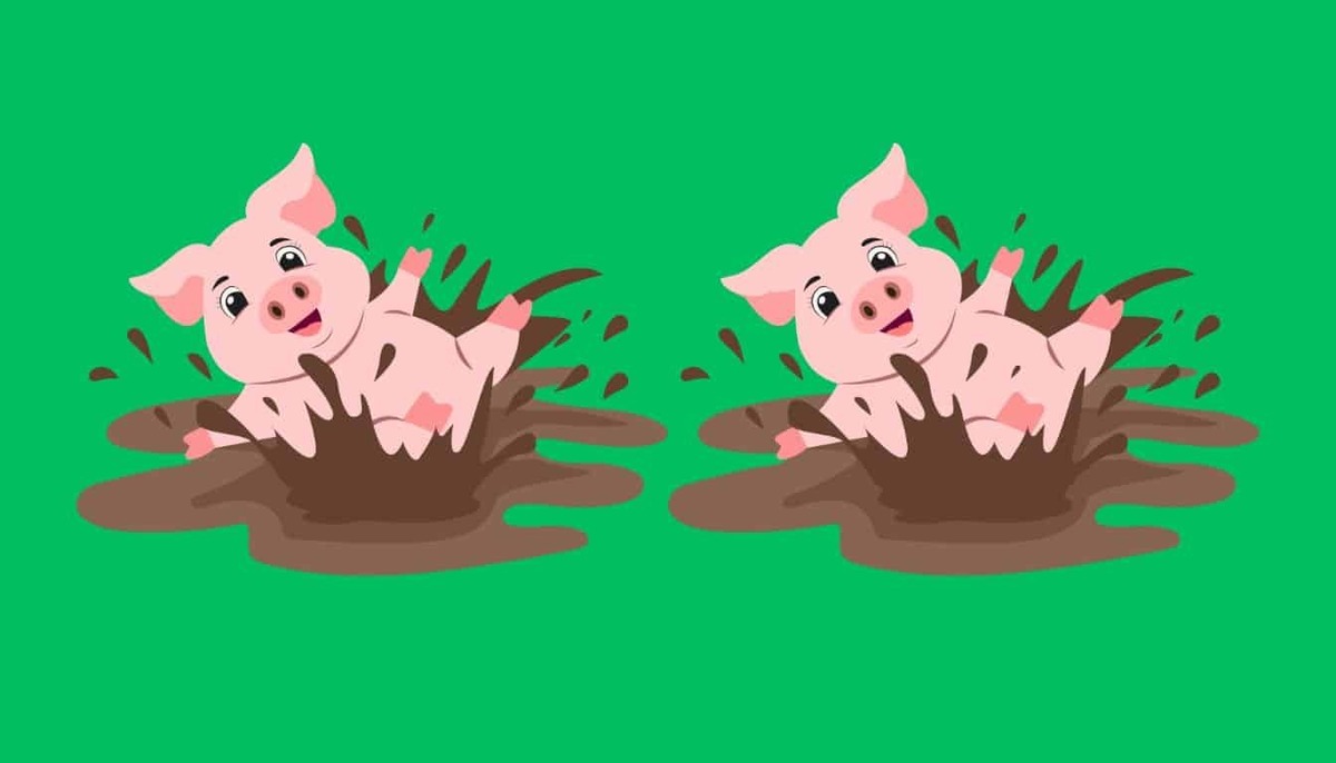 Vous avez 20 secondes pour trouver 4 erreurs dans cette scène de ferme