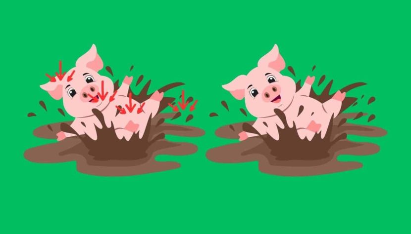 Les différences entre les deux petits cochons