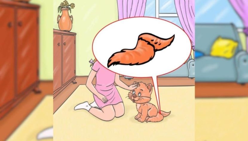 L'erreur sur l'image dévoilée 