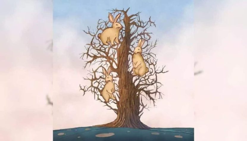 Les trois lapins dans l'arbre dévoilés