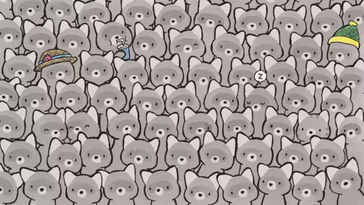 le chat parmi les ratons