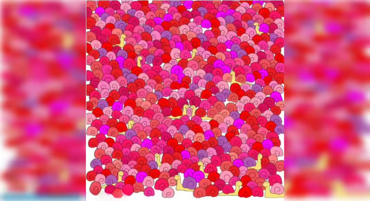 Seuls 1 % des QI élevés trouvent le cœur caché