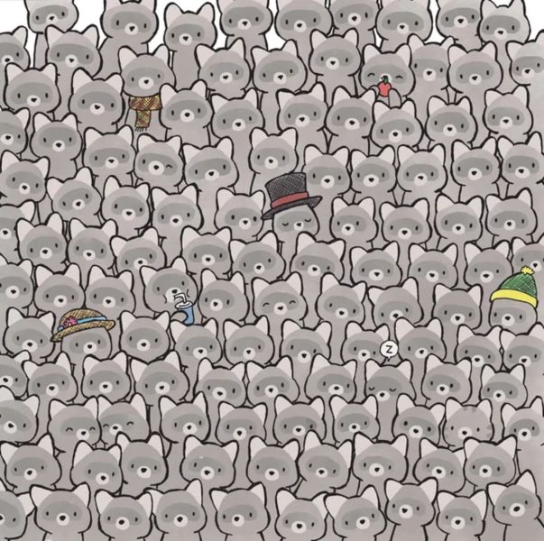 retrouver le chat en moins de 5 secondes
