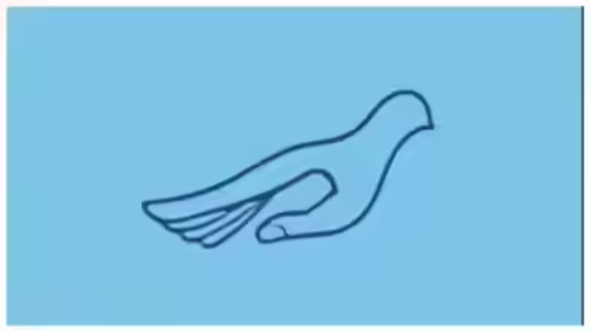 Ce que vous voyez en premier dans cette image