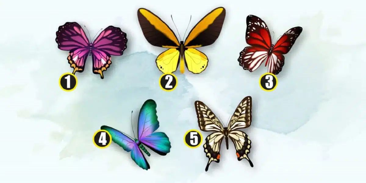 Choisissez un papillon : il révèle un aspect profond de votre personnalité Choisissez un papillon