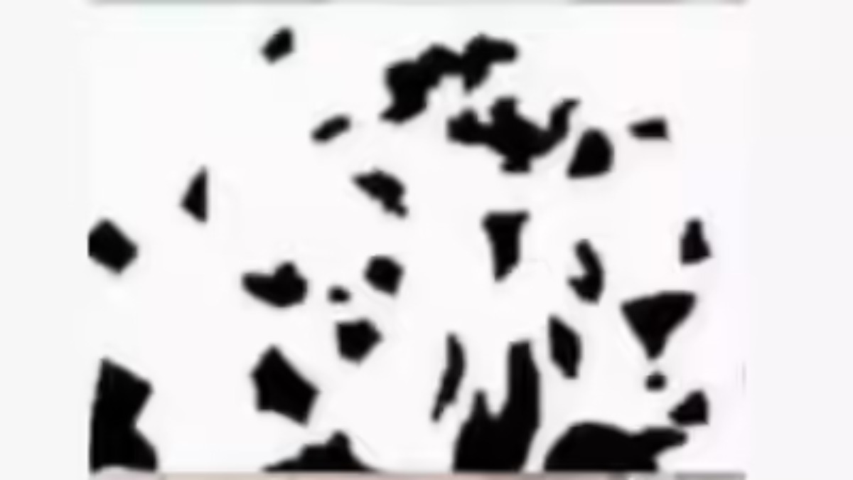 Couple dansant ou taches d’encre ?