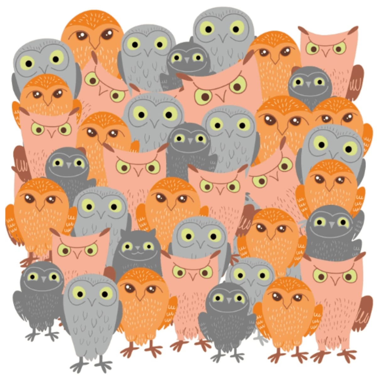 Un chat est bien caché dans cette image