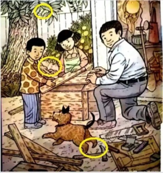 le canard, le papillon et la chauve-souris répérés