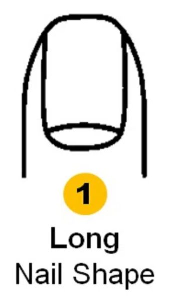 ongles longs et ovales