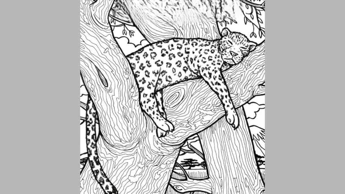 Avez-vous une vision de chasseur ?