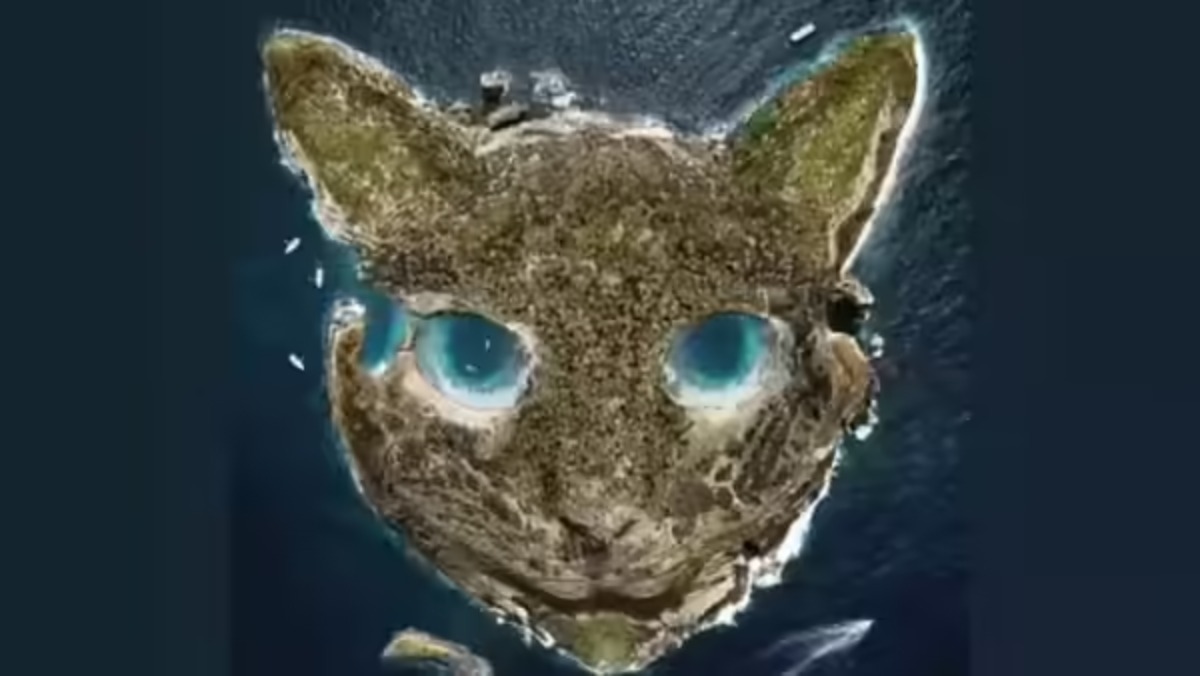 Ce que vous voyez en premier