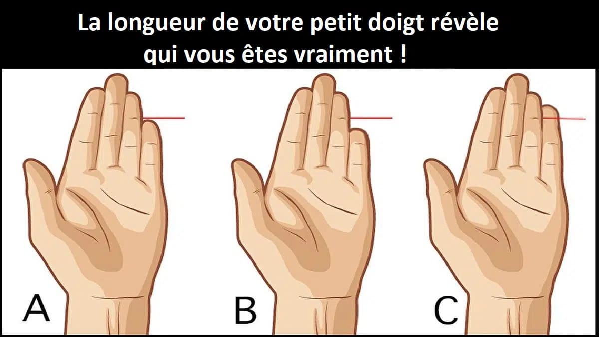 la longueur de votre petit doigt révèle votre vrai caractère