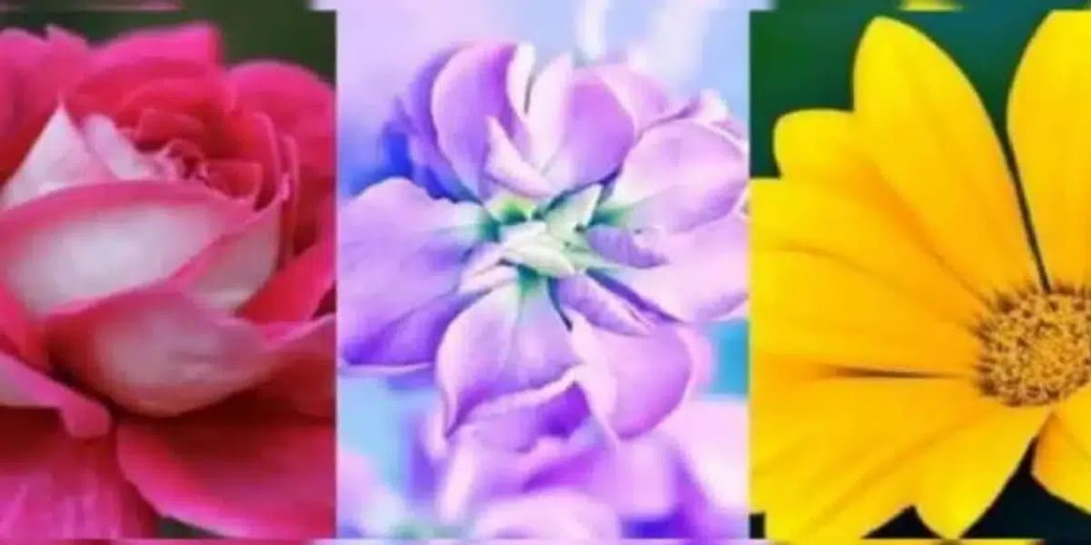 La fleur que vous choisissez révèle un secret bien gardé sur votre personnalité fleur