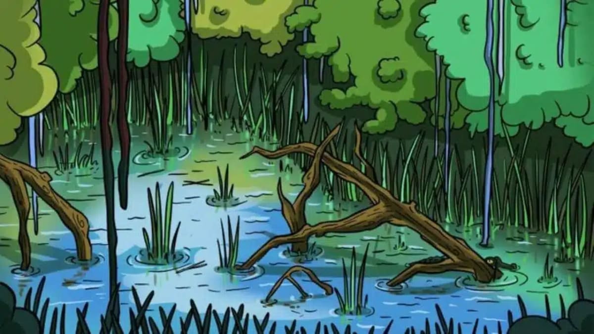 Saurez-vous repérer le crocodile caché dans ce lac en moins de 15 secondes ? Saurez-vous repérer le crocodile caché