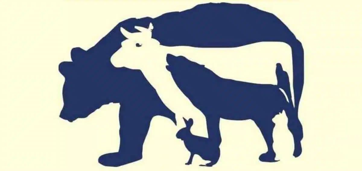 Trouvez les 10 animaux cachés en 11 secondes