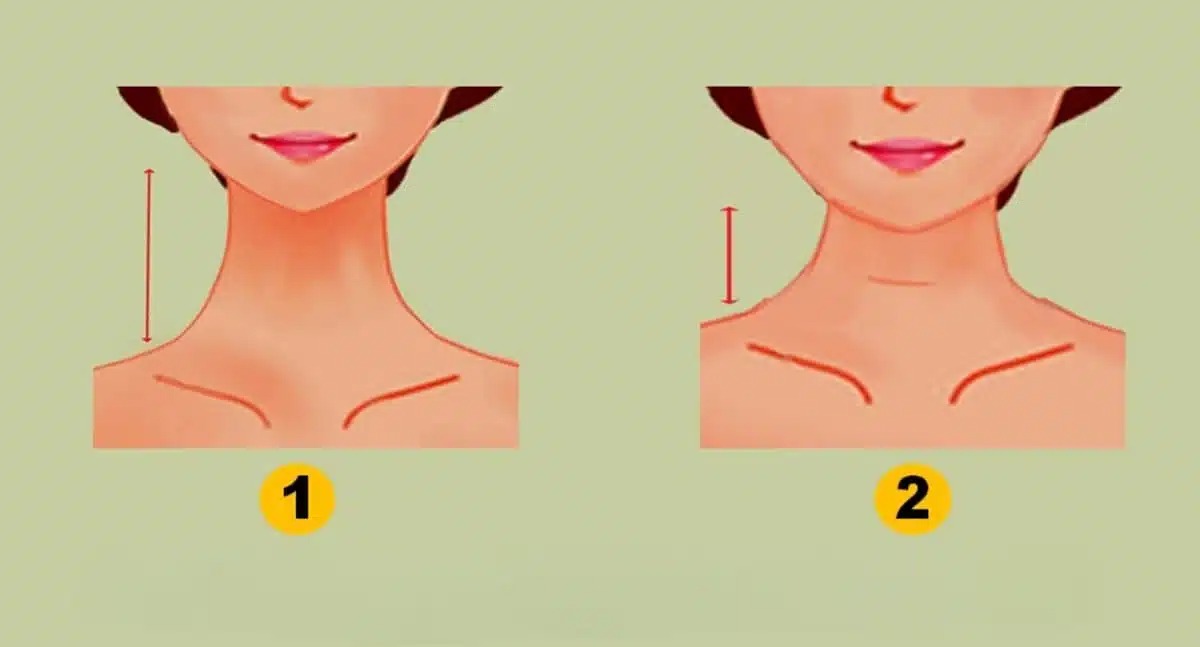 Ce que la forme de votre cou dit de vous
