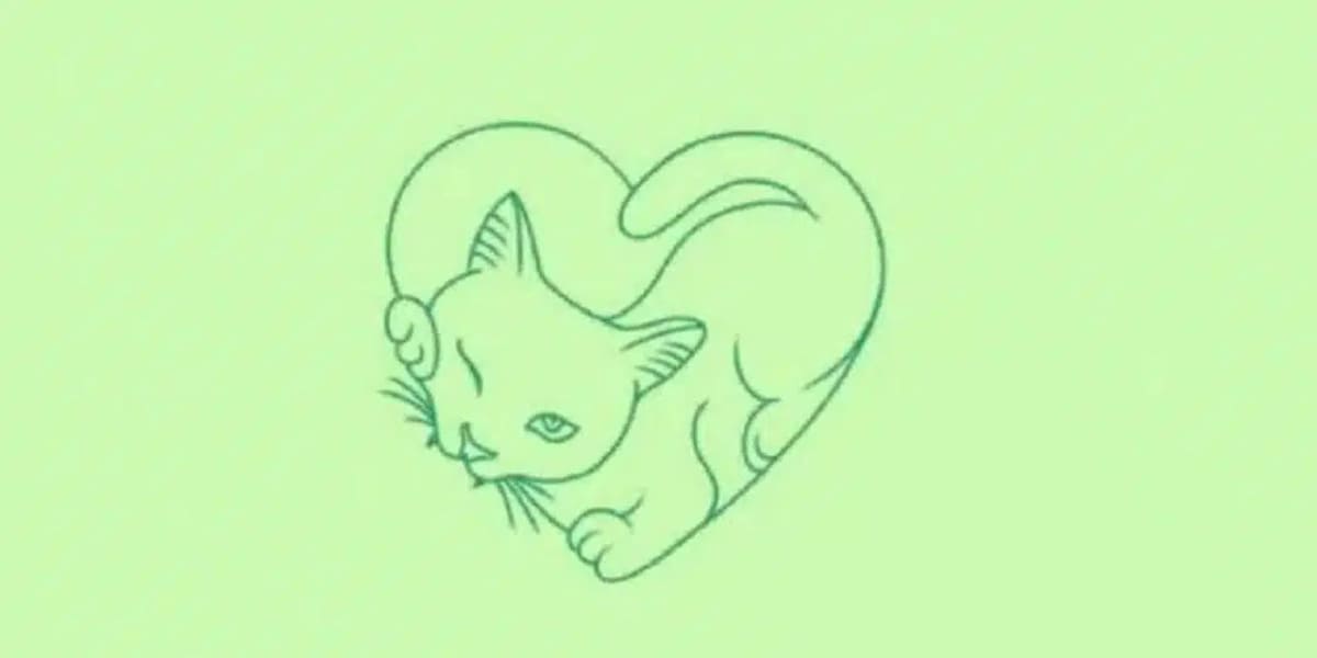 dessin de chat trop mignon