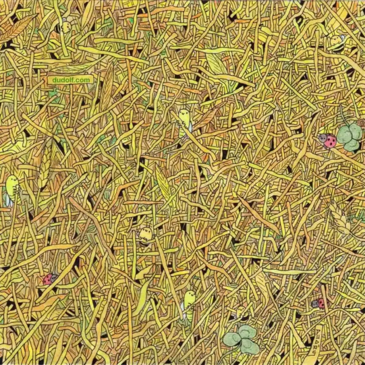 Ce test visuel ne trompe pas