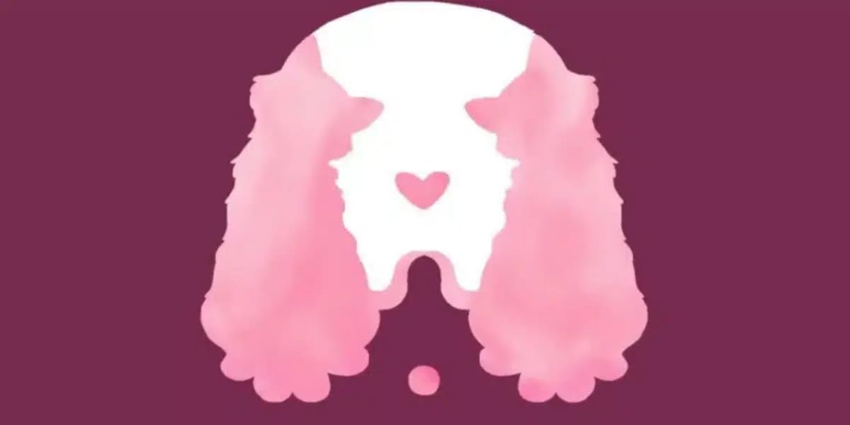 personnalité cachée