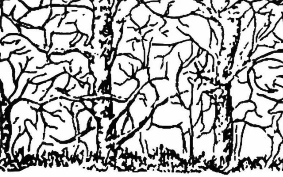 Trouvez la girafe dans ce dessin